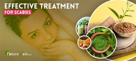 Natural Treatment for Scabies - 8 Effective Treatments for Scabies