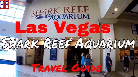 Las Vegas | Shark Reef Aquarium at Mandalay Bay | Travel Guide | Episode# 10 - YouTube