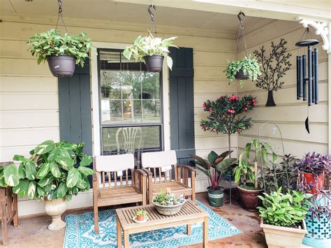 Front porch set-up : plants