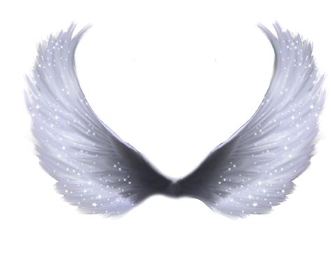 Angel Wings SVG Transparent