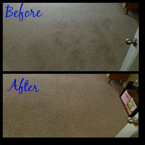 Pin by Benchmark Carpet Cleaning on Before and After Carpet Cleaning | How to clean carpet ...