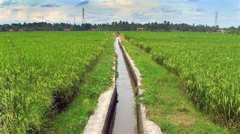 Apa yang dimaksud dengan Irrigation atau irigasi? - #2 by dindaaisya - Ilmu Pertanian - Dictio ...