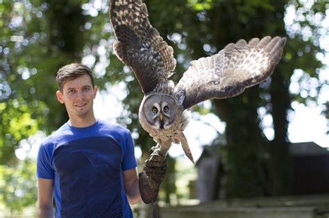 Bird of prey experiences, Hawk Conservancy Trust, Hampshire. - Hawk ...