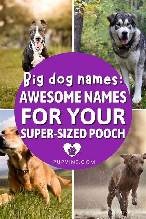 Awesome Names For Your Super-Sized Pooch Cool Names, Awesome Names, Big Dog Names, Big Dogs ...