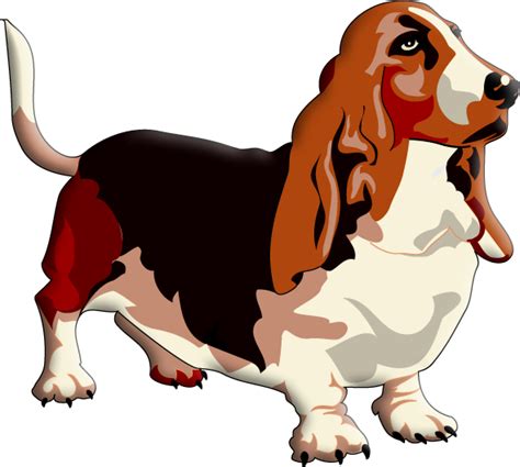 clipart basset hound 10 free Cliparts | Download images on Clipground 2023