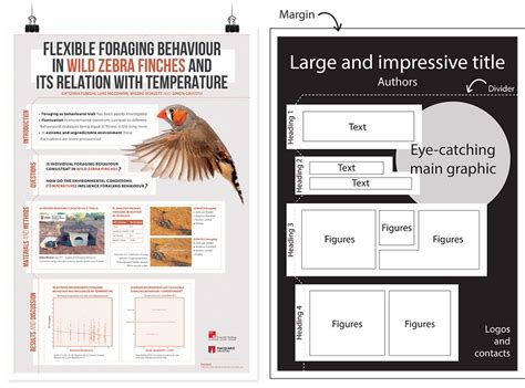 Best examples of scientific posters