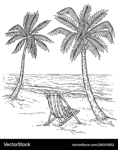 Sketch palm tree landscape tropical palm beach Vector Image