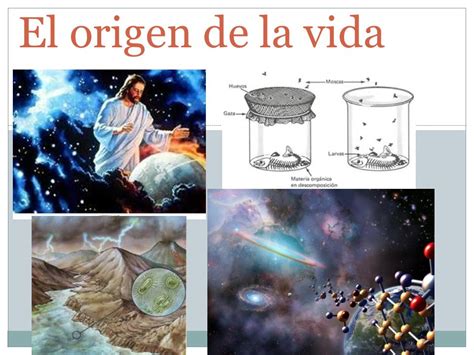 Teorías del origen de la vida | 208 jugadas | Quizizz