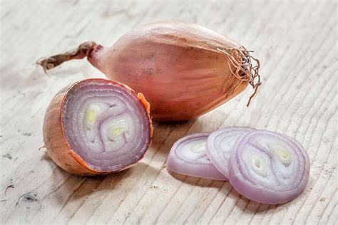 Shallot | Growing, Harvesting, Cooking | Britannica