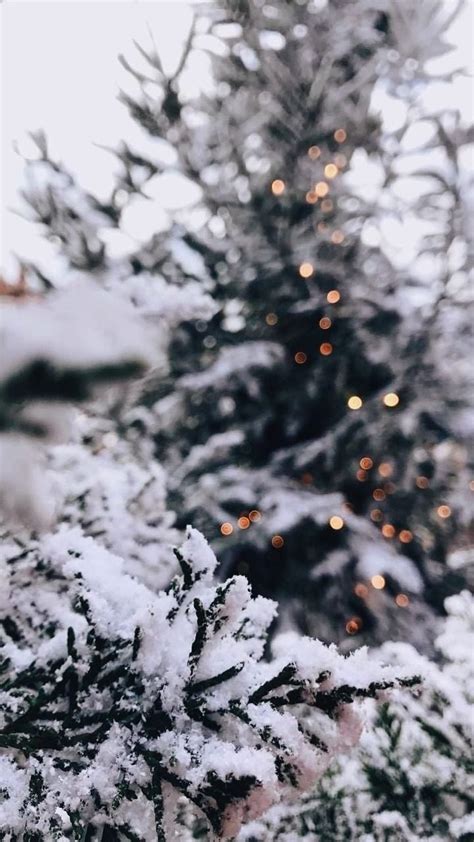 Aesthetic Christmas Let It Snow Wallpapers - Wallpaper Cave