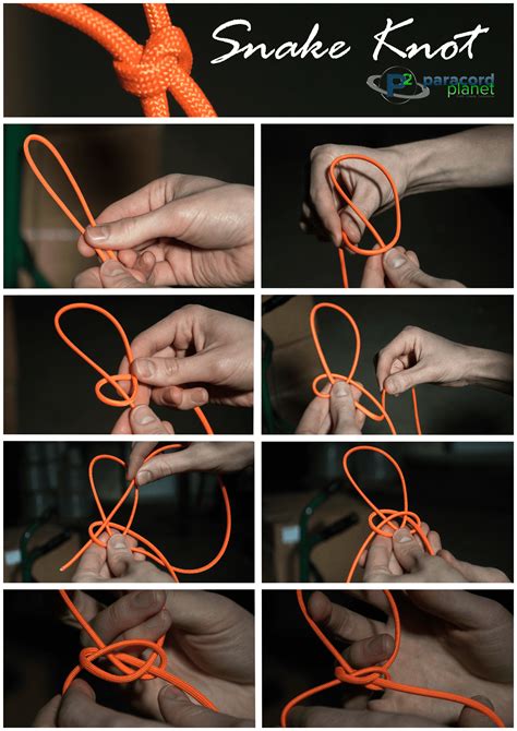 Paracord Braids Tutorial : 270 Paracord Tutorials Ideas In 2021 ...