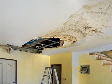 How To Prevent Water Leakage From Ceiling | Shelly Lighting