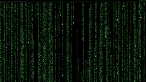 HD wallpaper: matrix background desktop, green color, technology, data ...