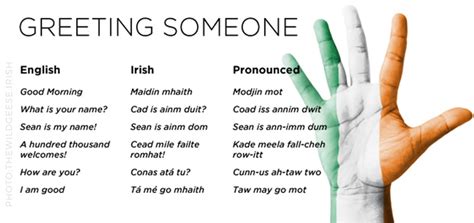 How Do You Speak Like a Local in Ireland? | Authentic Vacations