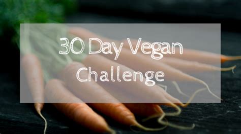 Things You Must be Aware of Before Performing The 30-Day Vegan Challenge - Ranker Online