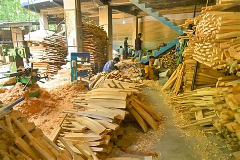 How India's Wood Policy Brings 146m Holders into Global Market! | Wood ...