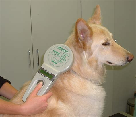 compulsory microchipping of all dogs in Ireland