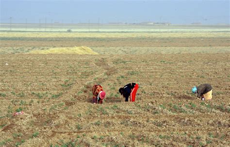 Climate Change Worsens Conflict in Syria | Peace is Our True Nature