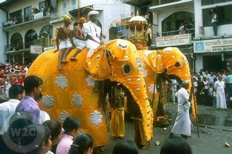 The Kandy Esala Perahera-Sri lanka - Online Web Site Guide | Find All ...