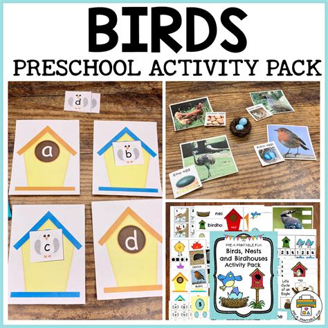 Bird Preschool Activities - Pre-K Printable Fun