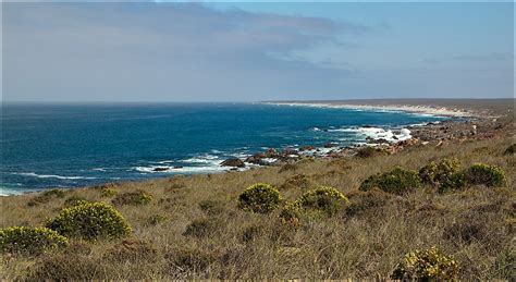 Tracks4Africa Padkos - Namaqua National Park (Coastal Section)