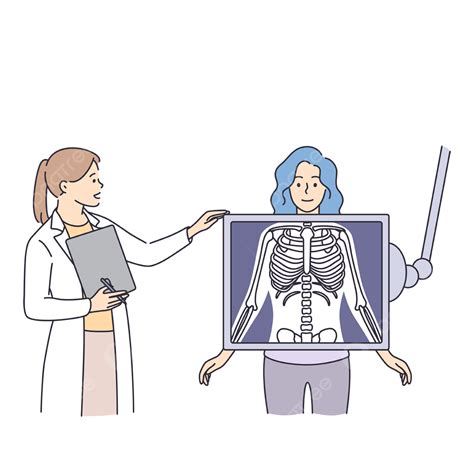 Radiology And Body Scan In Medicine Concept, Health, X Ray, Human PNG ...