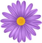 Purple Flower Daisy PNG Transparent Clipart | Gallery Yopriceville - High-Quality Free Images ...