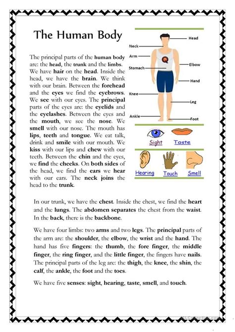 Grade 5 Science Worksheets Human Body