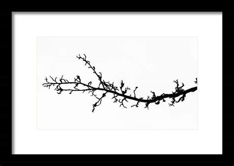 Abstract | Minimalist Photography Art Prints | Martin Vorel