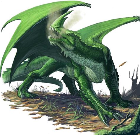 Green dragon, RPG adventure art, d20 | Dragon illustration, Green dragon, Fantasy dragon