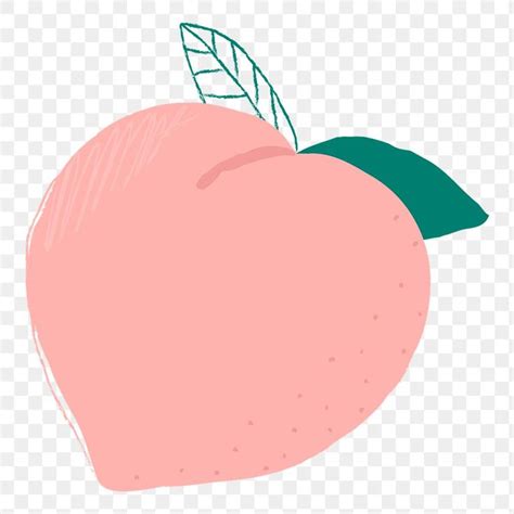 Png pastel hand drawn peach fruit clipart | free image by rawpixel.com ...