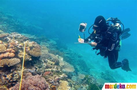 Foto : Melihat kondisi terumbu karang di laut Australia| merdeka.com