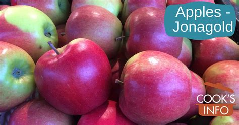 Jonagold Apple - CooksInfo