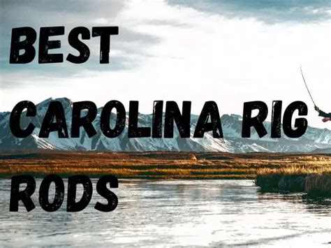 Best Carolina Rig Rod - Top 3 Rods for Casting Carolina Rigs