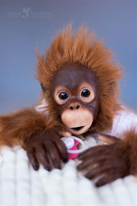 Baby Orangutan Cinta Life Size Realistic Movable Toy. OOAK Artist Handmade Collectible Animal by ...