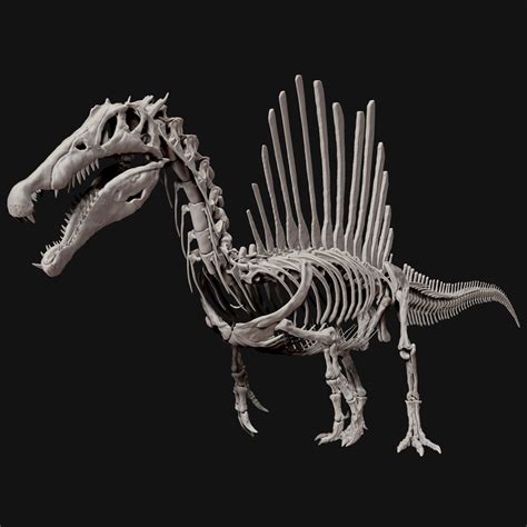 Spinosaurus Full Skeleton Sculpt Model | Dinossauros