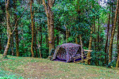 Camping Point At Thailand Free Stock Photo - Public Domain Pictures