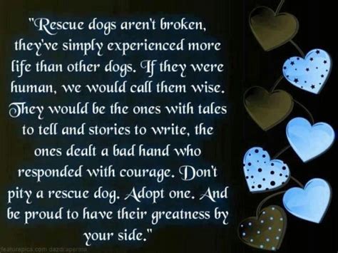 Rescue Dog Poems And Quotes. QuotesGram