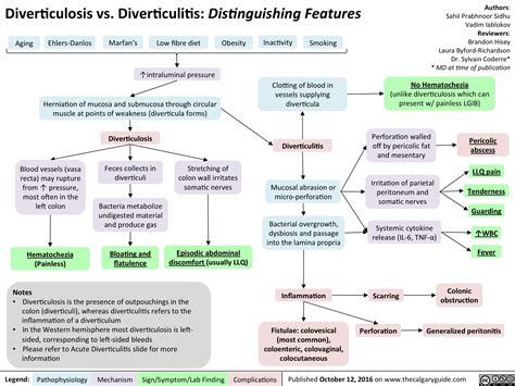 Diverticulosis vs. Diverticulitis: Distinguishing Features | Calgary Guide