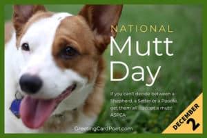 National Mutt Day - FAQs, Fun Facts, and Quotes for your Dog