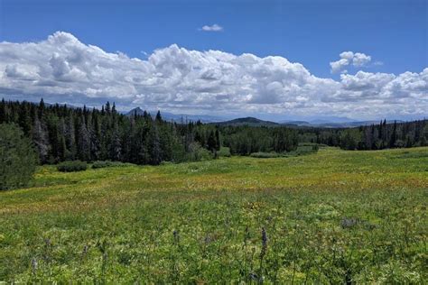 17 Steamboat Springs Camping Locations For Outdoor Enthusiasts [2023] - Mike & Laura Travel