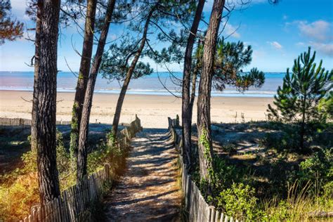 Nouvelle Aquitaine Banque d'images et photos libres de droit - iStock