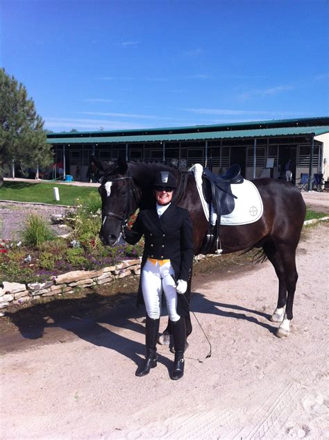 Levels of Dressage — everything equine