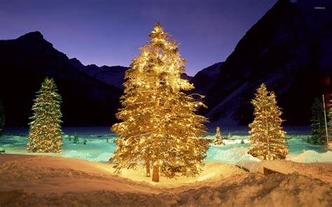 Christmas Images Nature 2023 Best Perfect Most Popular Incredible ...