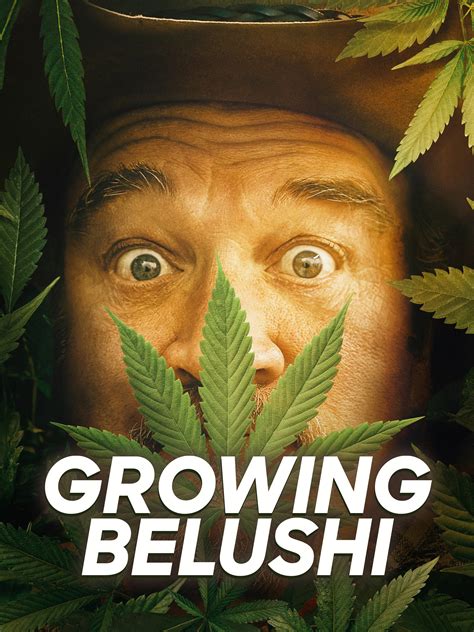 Growing Belushi Season 2 | Rotten Tomatoes