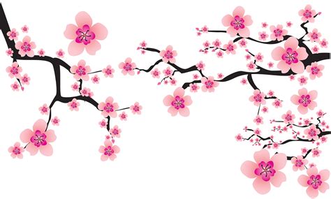 Japanese clipart sakura, Japanese sakura Transparent FREE for download ...