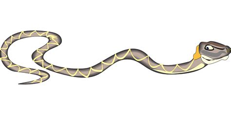 Slithering Snake Clipart Images