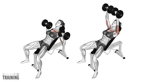 Incline Dumbbell Press - Instructions, Information & Alternatives » Training.fit