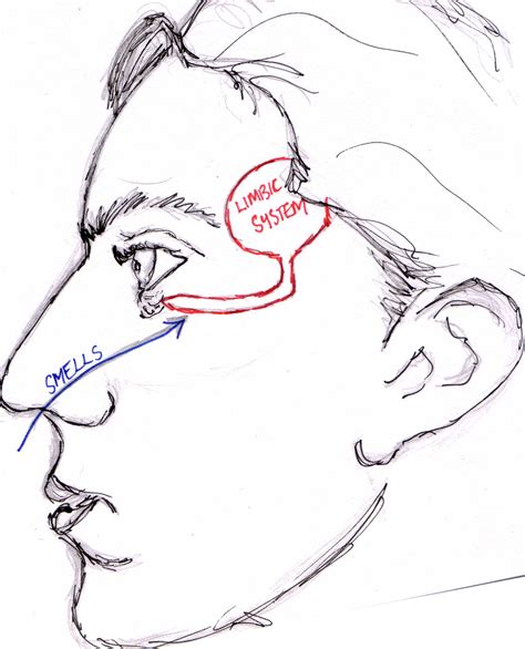 Psychology and Smell - Fifth Sense