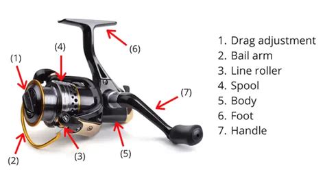 Parts Of A Spinning Reel - How To Choose The Best Fishing Reel